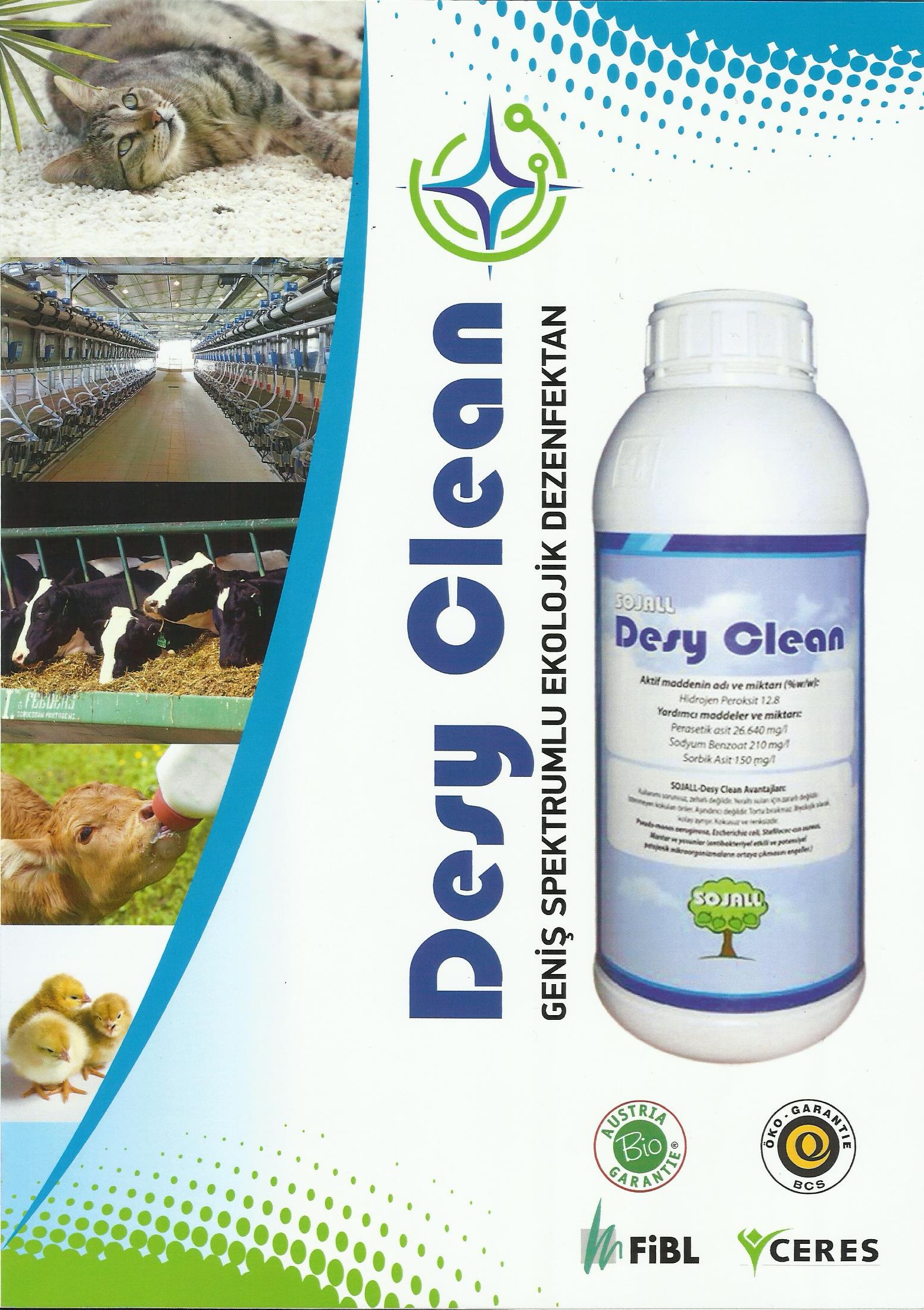 Desy Clean